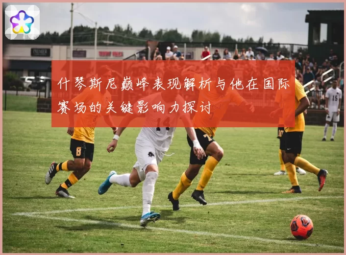 什琴斯尼巅峰表现解析与他在国际赛场的关键影响力探讨