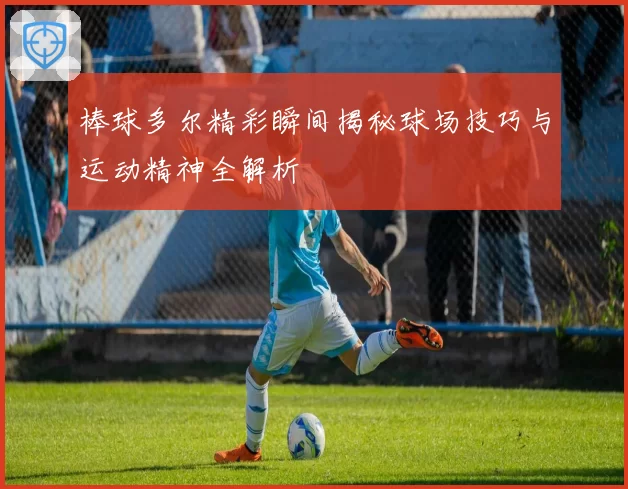 棒球多尔精彩瞬间揭秘球场技巧与运动精神全解析