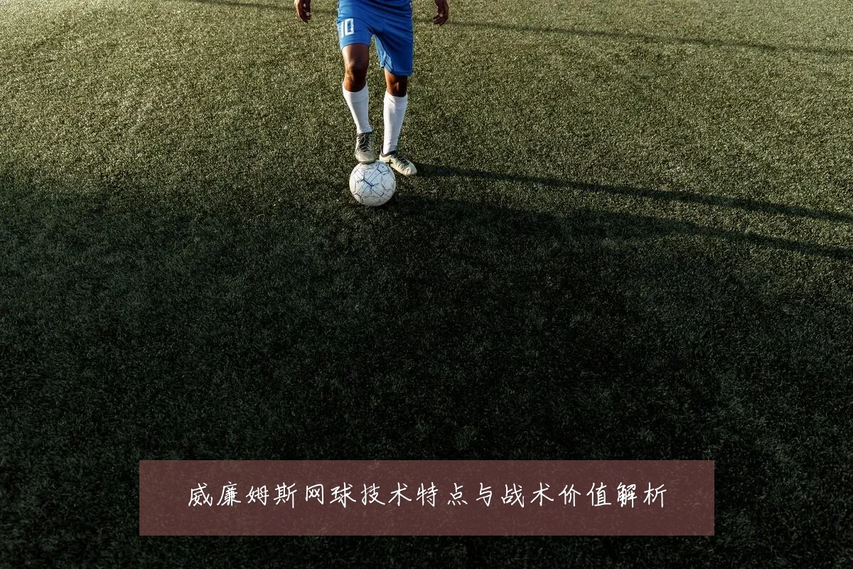 威廉姆斯网球技术特点与战术价值解析